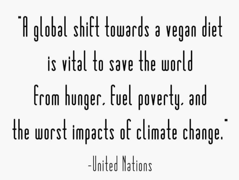 Vegan Future (@veganfuture) on Twitter photo 2024-05-18 19:12:00