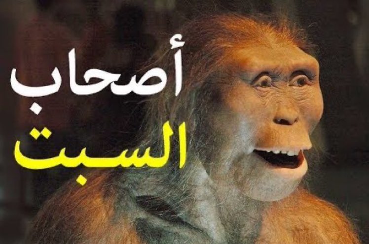 أول مرة اقرأ وافهم قصة اصحاب السبت بهذه الطريقة 👏🏻 
لن تاخذ منك اكثر من120ثانية فقط
تابعوا معي السرد ❤️