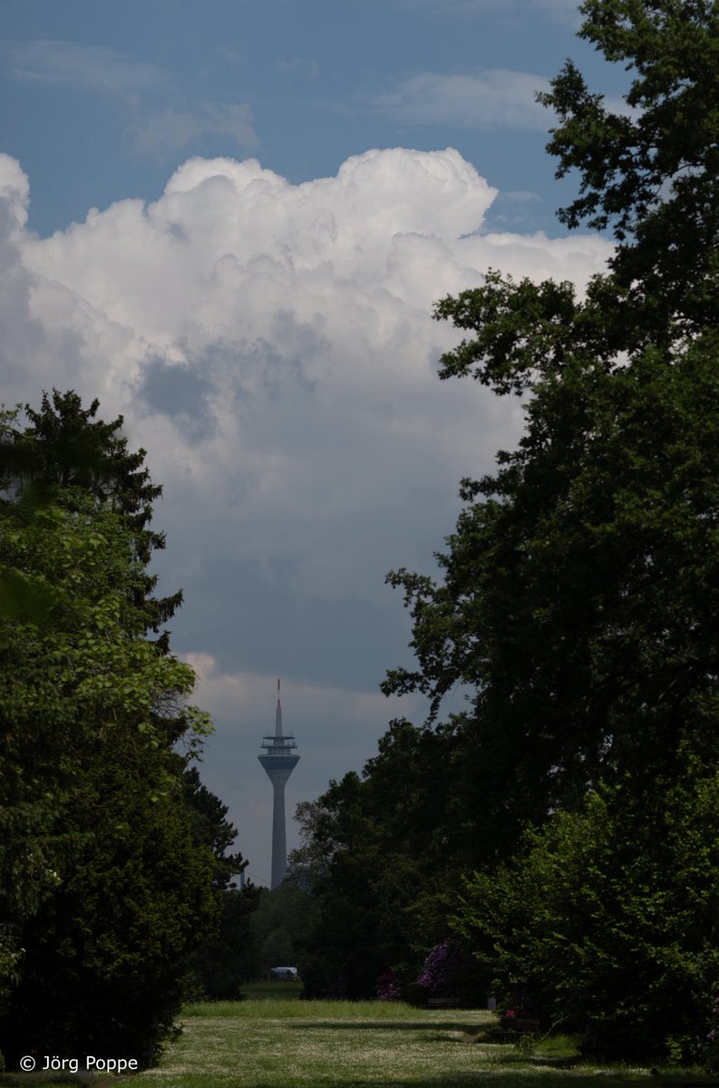 Fernsehturm. #düsseldorf #fernsehturm #architektur #gebäude #turm #rheinturm #aussichtsturm #wolken #streetphotography #streetphoto #streetphotos #l52584