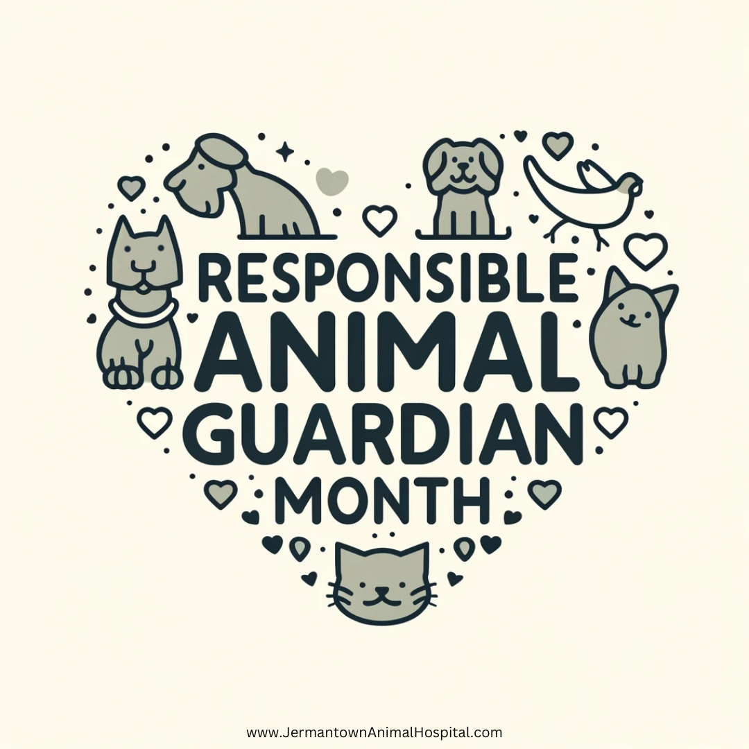 ❤️🐱 Pets need more than just physical care—they need your love and attention too! Spend some extra time this month showing your pet how much they mean to you. A little extra cuddle goes a long way! #ResponsibleAnimalGuardianMonth #PetLove #JermantownAnimalHospital #Fairfax