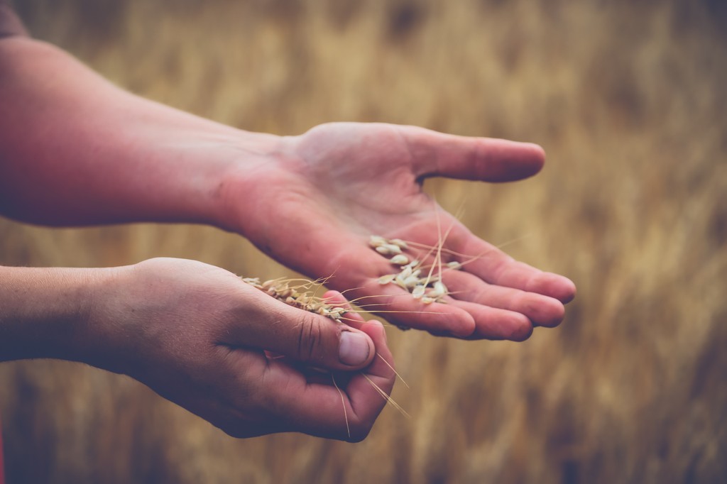 Curious to learn more about how #Ag can be the solution to climate change? USFRA has gathered some key facts about the progress the agricultural industry is making to address #ClimateChange and feed the growing population. Read our Facts at a Glance now! usfarmersandranchers.org/infographics/