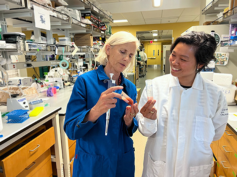 Hematopoiesis News (@hema_news) on Twitter photo Dr. <a href="/DPoscablo/">Donna Poscablo</a> from the <a href="/Forsberg_Lab/">Forsberg Lab</a> led this study showing that aging leads to two parallel platelet specification paths from #HSCs and the shortcut platelet pathway is perpetuated by highly expansive #megakaryocyte progenitors. 
📍 <a href="/CellCellPress/">Cell</a> | bit.ly/3UP7sQ3 Dr. <a href="/DPoscablo/">Donna Poscablo</a> from the <a href="/Forsberg_Lab/">Forsberg Lab</a> led this study showing that aging leads to two parallel platelet specification paths from #HSCs and the shortcut platelet pathway is perpetuated by highly expansive #megakaryocyte progenitors. 
📍 <a href="/CellCellPress/">Cell</a> | bit.ly/3UP7sQ3