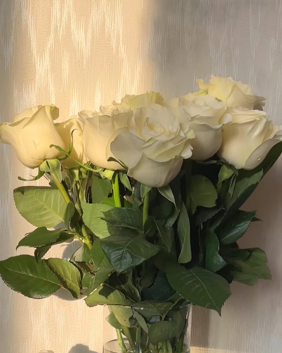 white tulips or white roses?