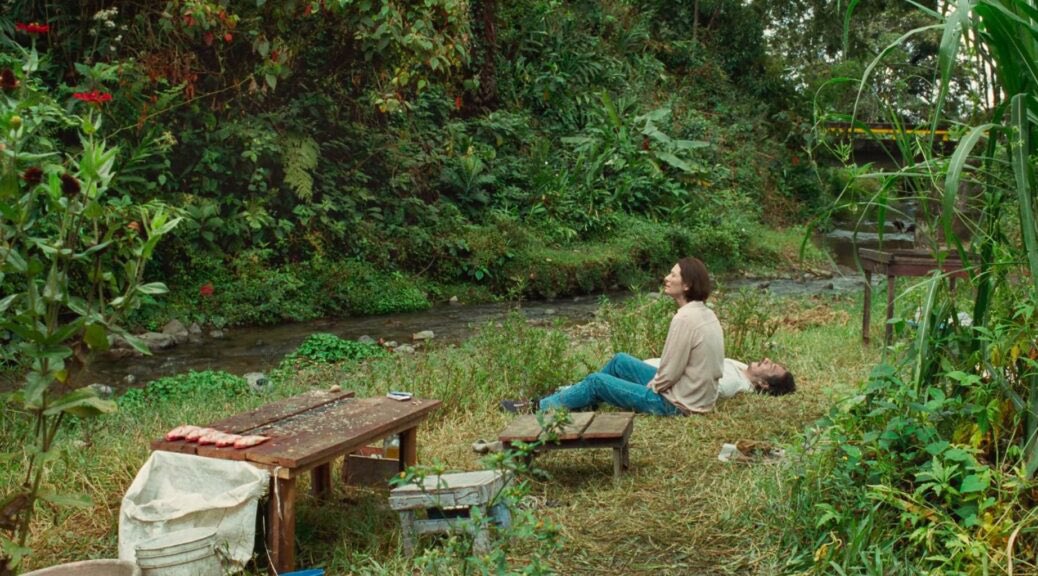 Cool that we got the best shot ever in a film just a few years ago. I could live in this frame forever.