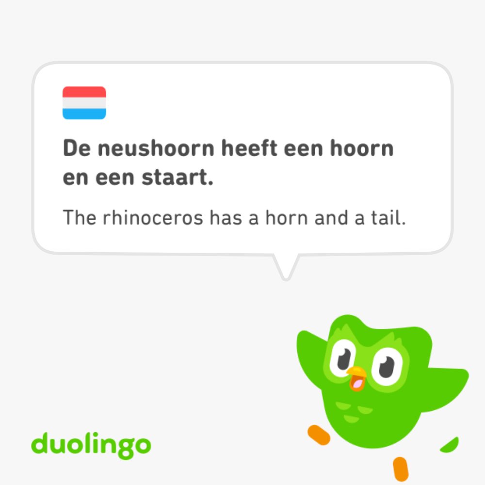 Favourite Dutch word so far: 🦏 (nose horn) @duolingo