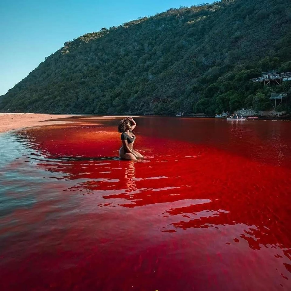 Beautiful Red Rivers of South Africa 🇿🇦 Popularly called Blood  river/Ncome (Zulu) Bloedrivier (Afrikaans) Blood/Ncome River (Afrikaans:  Bloedrivier; Zulu: Ncome) is situated between Nquthu and Vryheid in  KwaZulu-Natal, South Africa. This river, image size:960x960