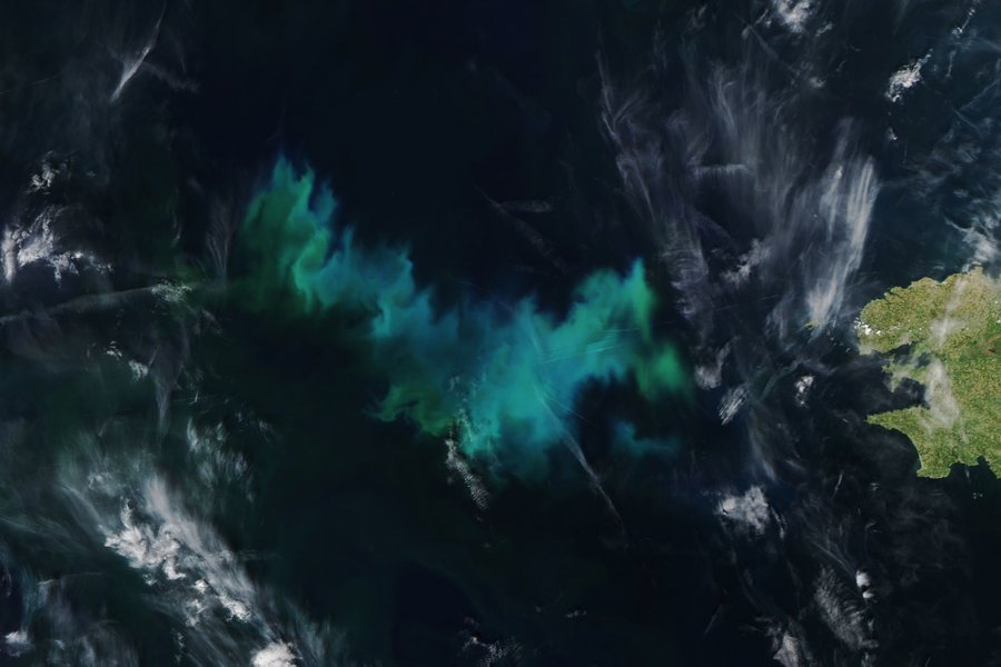 Satellite image of bright turquoise and green swirls in the dark blue waters of the Celtic Sea on May 10, 2024. A small part of the green land of France is visible on the left side of the image.