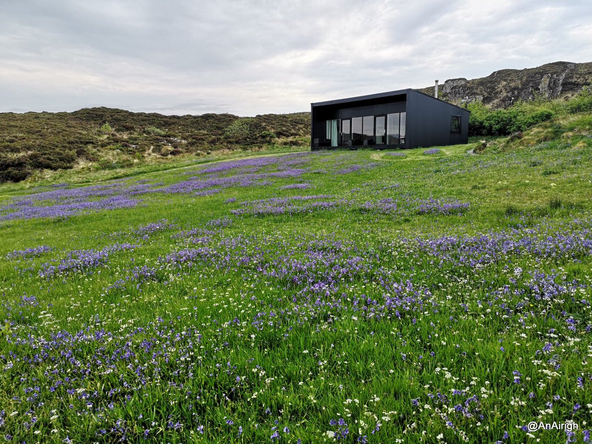 Bluebells everywhere, glorious <a href="/AnAirigh/">An Airigh</a> Isle of Skye
#wildflowers #croft #Skye #Scotland #brognacuthaig #Hebrides #holidays