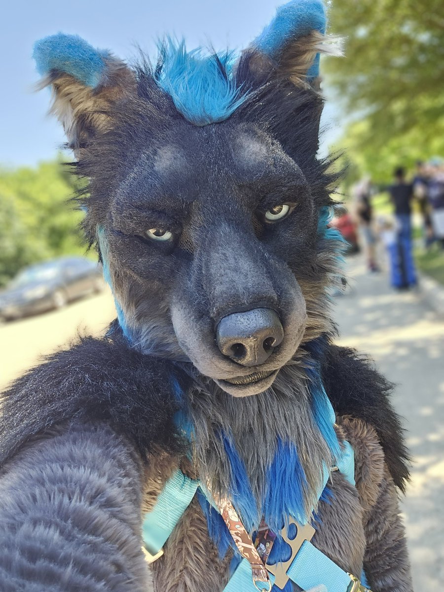 Time to pounce on you