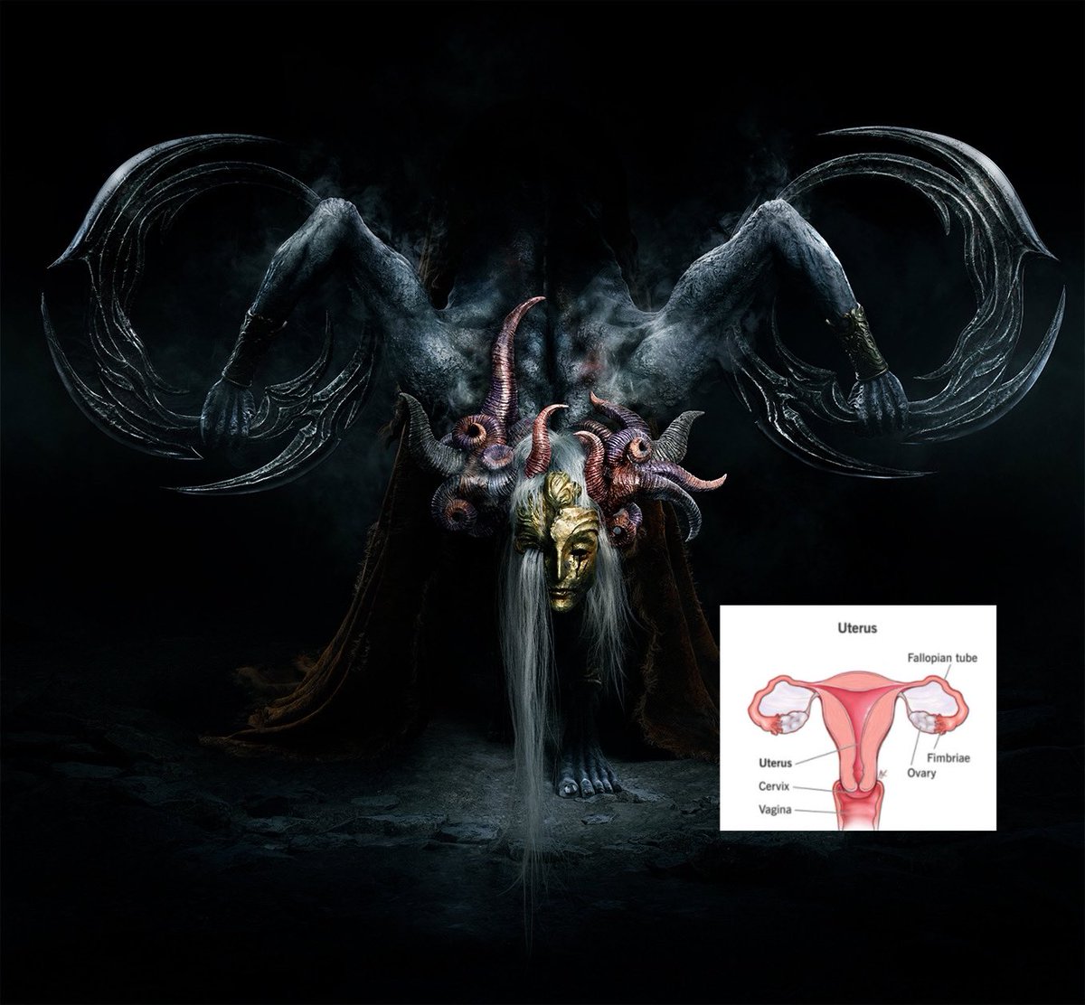 the cocoon looks like a uterine rupture. omenussy (and godwyn) look like uteruses. welcome back visceral femininity & the horrors of womanhood