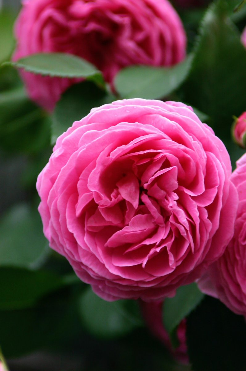 MiHaWe's tweet image. #Pfingsten #Verbindung und #Einheit in menschlicher #Vielfalt mehr als Glaube #Vision als #Auftrag