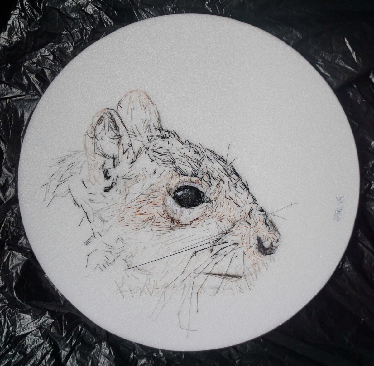 Grey Squirrel original animal thread drawing artwork, created with hand stitching. Comes in a black frame. emilytull.co.uk/store/p86/grey… #ShopIndie #UKCraftersHour