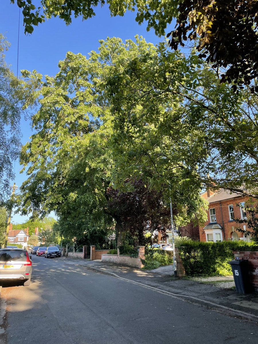 Steve Kemp tweet media