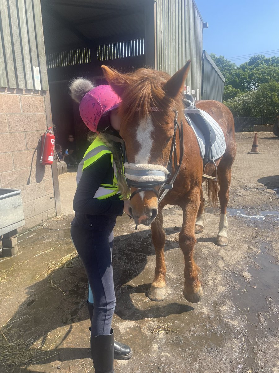 The beautiful Casey 🐴 and me bonding 💕 for the first time 😃 #Horses they are amazing animals 💕 xxxxxxxx