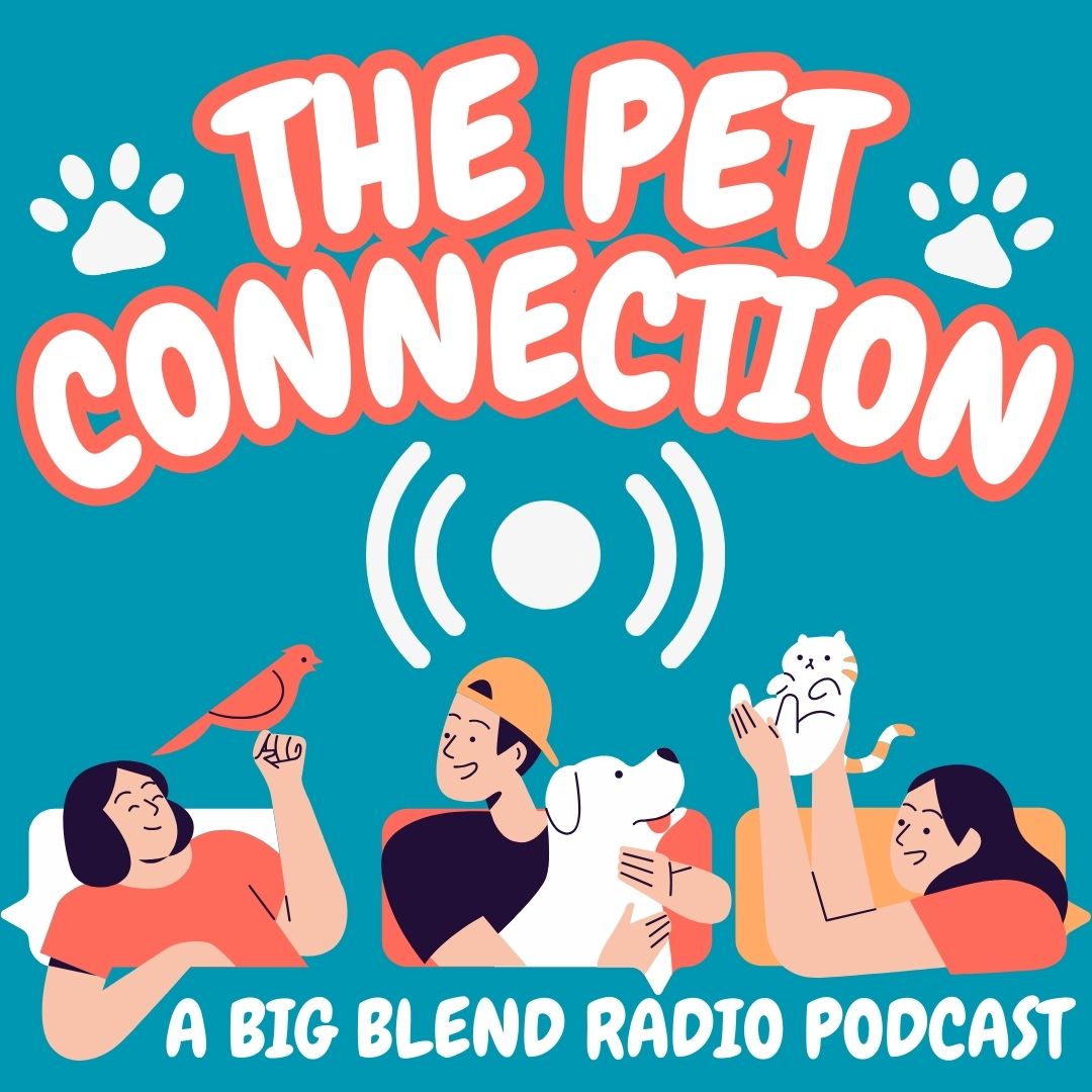 And ta-da! We have a new #BigBlendRadio podcast channel, "The Pet Connection" that we're hosting w/ our friend <a href="/TrustedAngela/">Angela Laws</a>. New episodes will air at Noon PST / 3pm EST every third Monday stating on Monday, May 20! Check it out: podbean.com/pu/pbblog-q4zq…