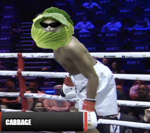 CabbageCat tweet media