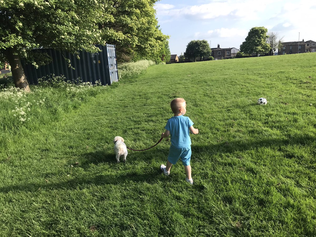 Sleepover night! Part 1: Tiring him out. Picnic in the Jo Cox Community Wood, running in buttercup fields, then simultaneous football & dog walking #Grandson #SimplePleasures #Childhood #GreenSpaces #WeAllNeedNature