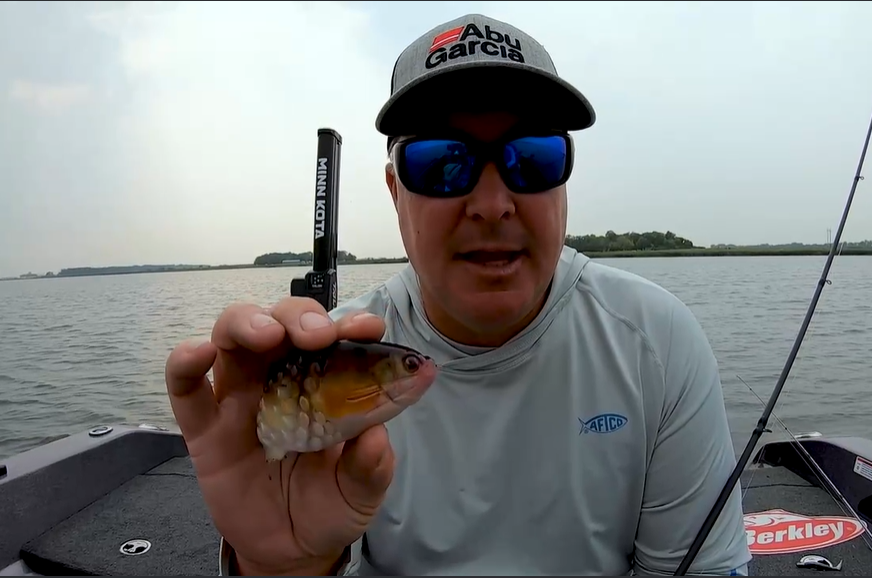 OUTDChannel's tweet photo. Pro angler Mark Courts demonstrates one of the rigging options with the new Berkley PowerBait Gilly via @GameAndFishMag: https://t.co/l1uHGNcPSu

#FindYourAdventure #berkley #fishing #fish #bass #bassfishing #basslure https://t.co/0cqQcebvad