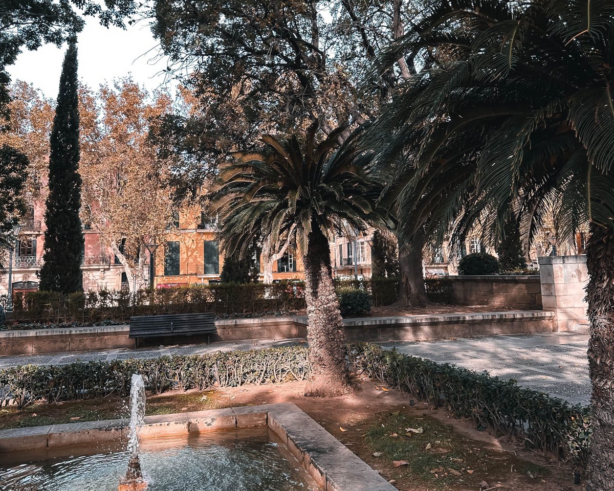 📸 Surrounding the grandeur of Palma's cathedral lies a serene oasis of lush greenery and vibrant blooms, inviting visitors to pause and reconnect with nature's beauty. #photography #travelphotography #nature #palma #spain