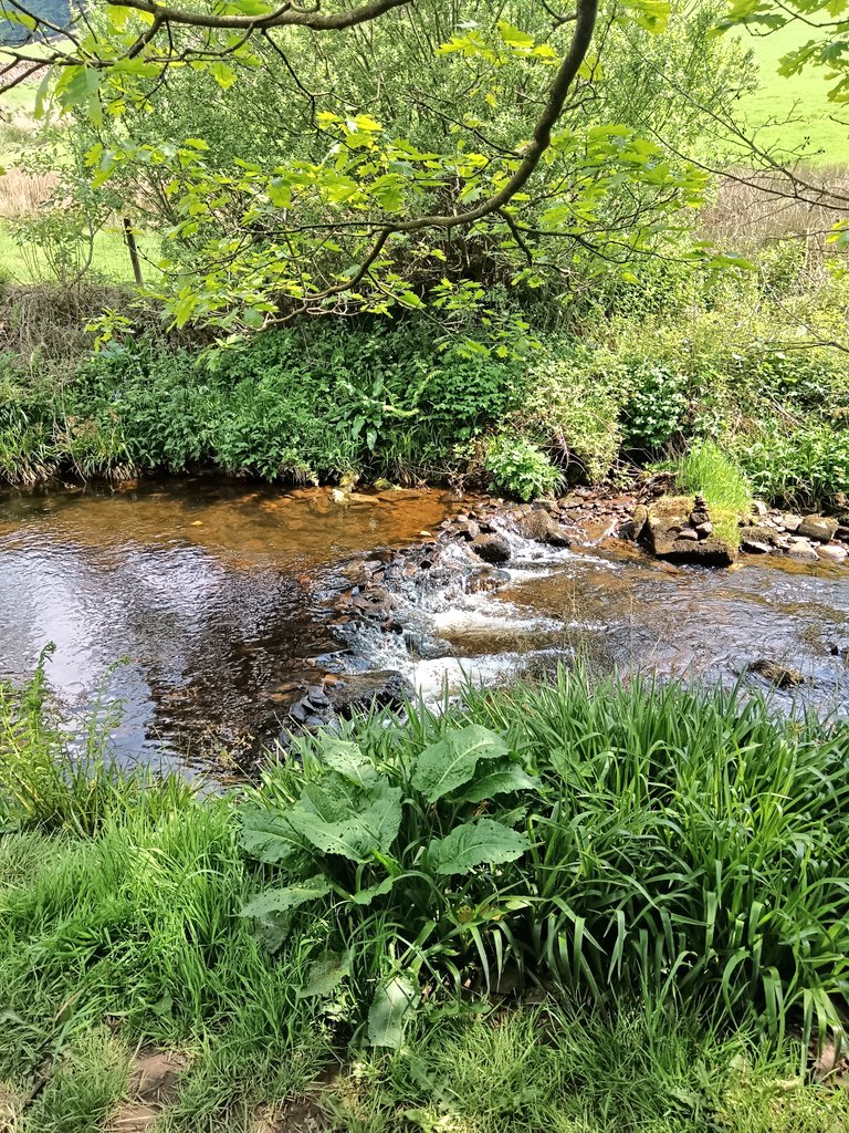 #PeakDistrict picnicking followed by farm shop ice cream - with views. I'm maybe easily pleased, but just the perfect day. 

#LoveWhereYouLive 
@vpdd