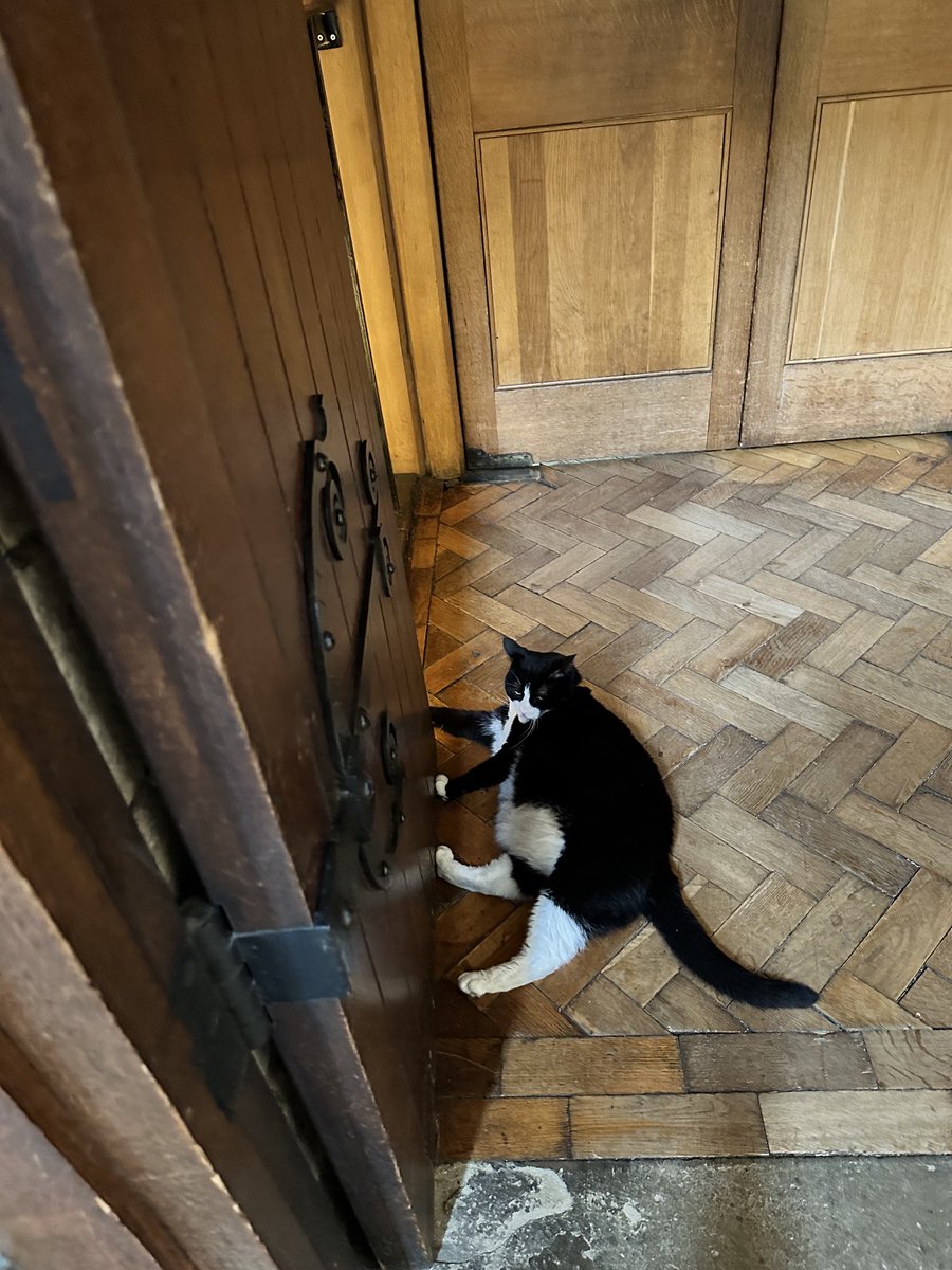 Got to meet ⁦<a href="/HodgeTheCat/">Hodge</a>⁩ at ⁦<a href="/Southwarkcathed/">Southwark Cathedral</a>⁩ today. 😀😀