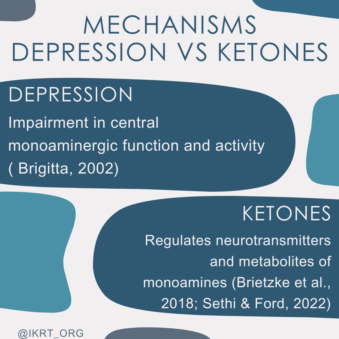 Next up in mechanisms of #depression vs #ketones, a little complex today, but suggests impairment in depression mechanisms, followed by regulation via ketones. #KMTmechanisms #metabolicpsychiatry #ketoformentalhealth #ketodiet #MentalHealthMatters
