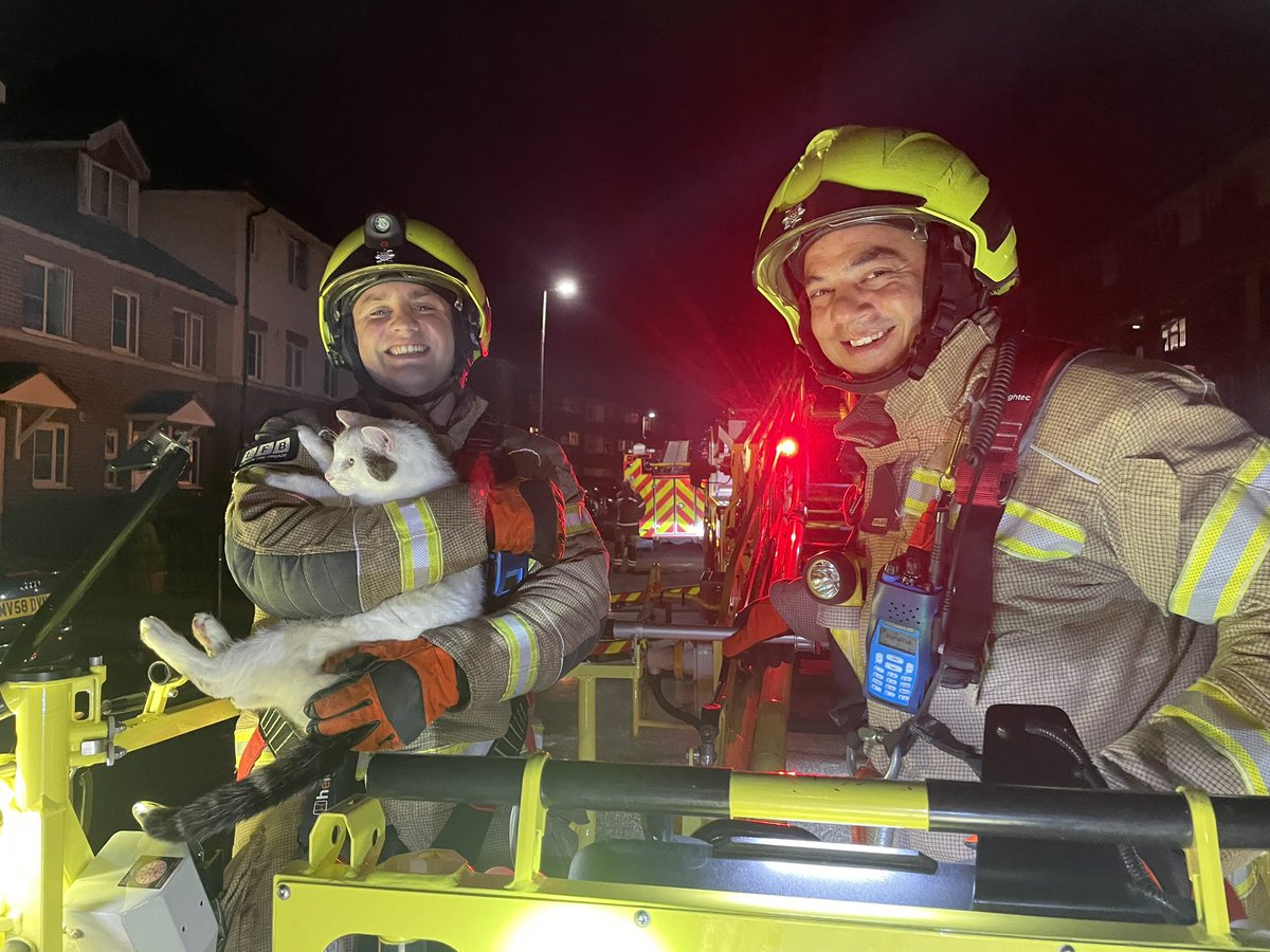 Our furry friend Fizz was feline a bit too adventurous when it found itself stuck on the roof of a house in #ForestHill 🙀 

Fortunately @LFBLEWISHAM crews were on hand to bring 16-year-old Fizz safely down, with the help of one of our 32 metre turntable ladders 🚒 🪜