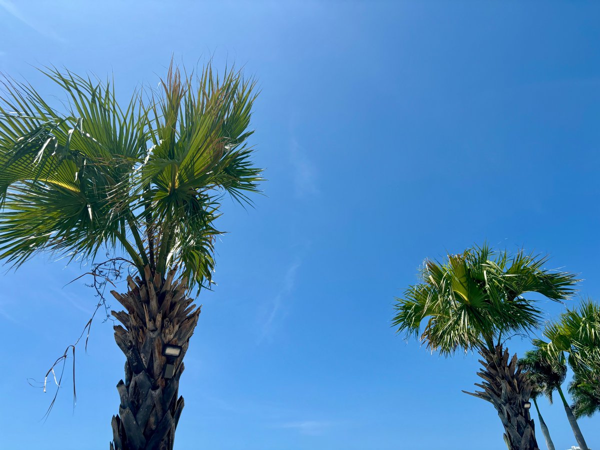 We have landed in beautiful San Juan for #SRBR2024 ! I’m so happy to be here and excited to share our group’s work during the data dash and at poster T60 in session 3. Stop by to talk about sleep, circadian rhythms, and cardiometabolic disease!
