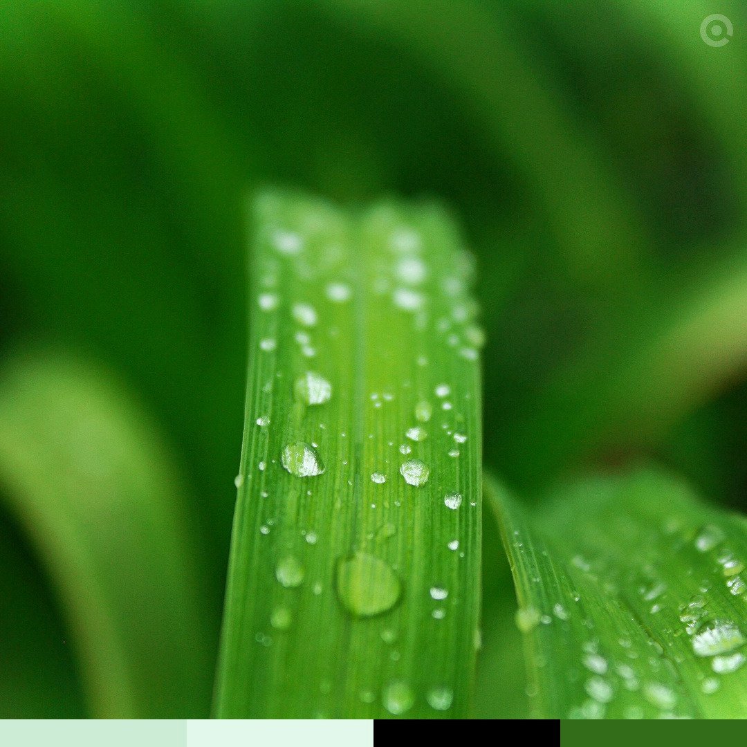 ColoSach || Radar Hackathon 🇳🇬 tweet media