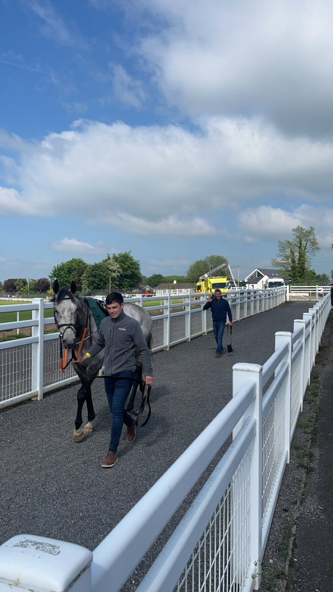 Delighted with The Truants second place today in <a href="/NavanRacecourse/">Navan Racecourse</a> Hopefully we can go one better the next day. Two seconds today for <a href="/flynnracing/">Paul Flynn</a> the yard is flying 🐎