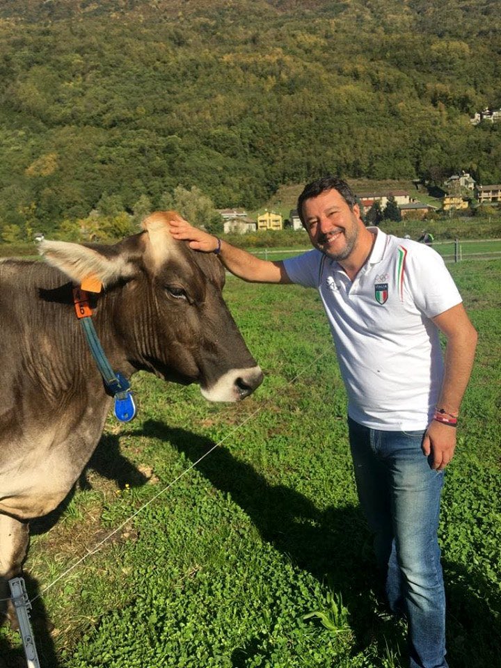 Ministro Lollobrigida “Un modo per verificare il benessere animale in una azienda agricola è chiederlo direttamente a loro….” ….dilettante Salvini glielo chiede da anni