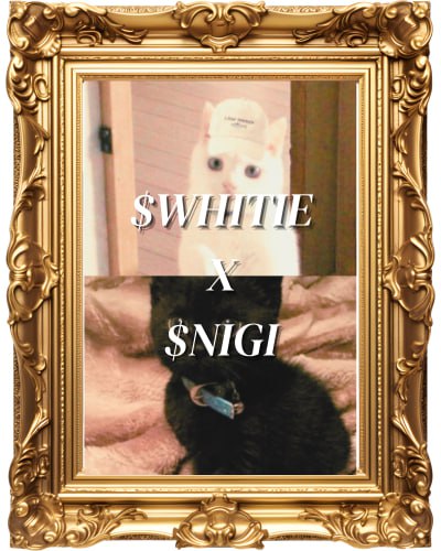 rileyyy717's tweet image. $WHITIE is da one brother.