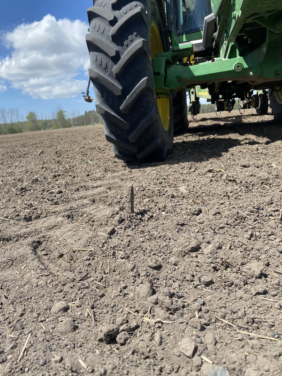 Blessings of the old rail bed. Glad I jumped off to check