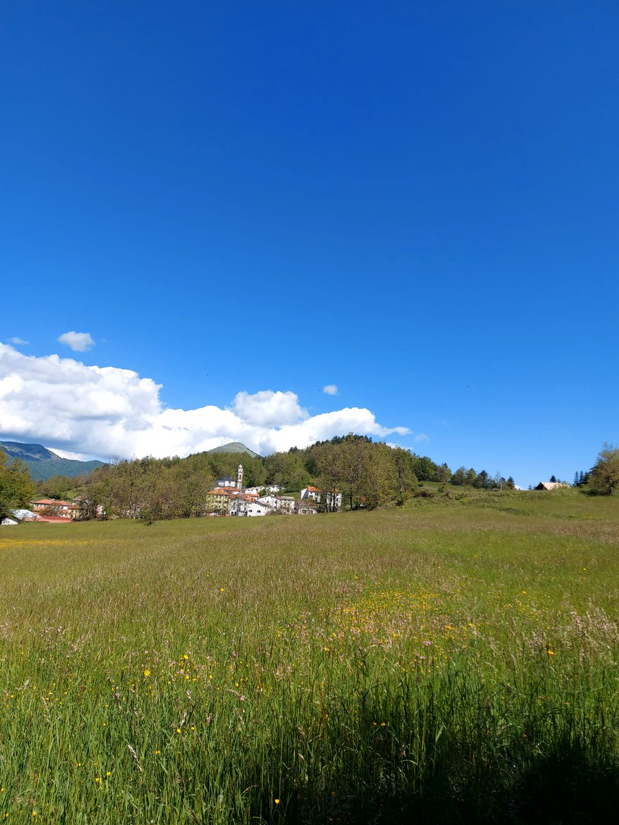 Oggi bel giretto in 🚲 tra Liguria, Emilia e Piemonte con #PassoDellaScoglina #ValicoDelFregarolo #CapanneDiCosola #CostaSalataDiMongiardino #Crocefieschi panorami mozzafiato del <a href="/parcoantola/">Parco dell'Antola</a> <a href="/ValliAntola/">Valli dell'Antola</a> sorpresa più bella incontrare <a href="/CesareLombardo/">Cesare Lombardo</a> e @marcokanobelj 💪🏻👊🏻👍🏼