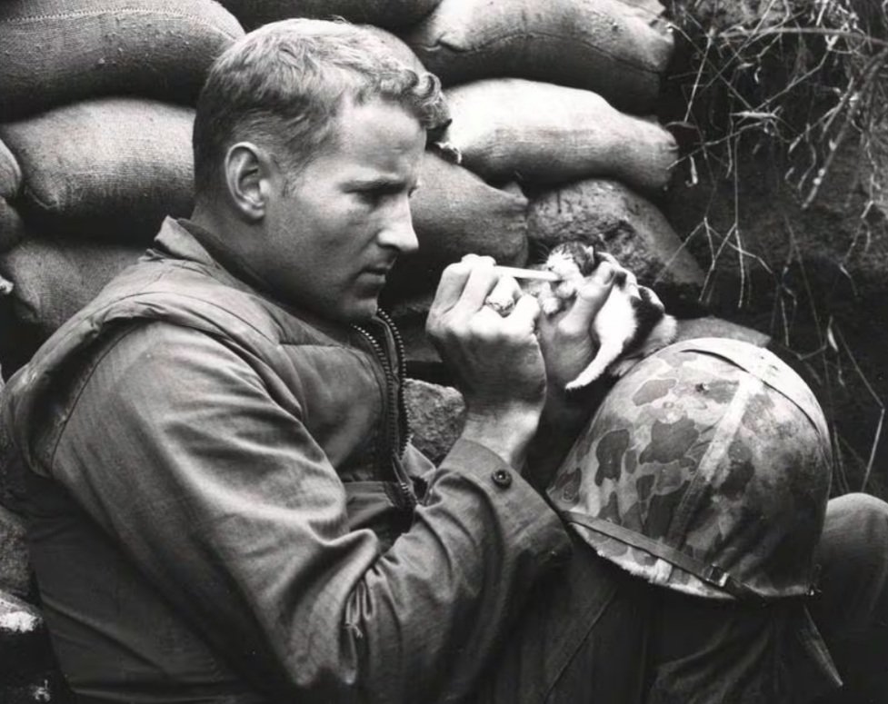 Frank Praytor, who served as a combat correspondent in the Korean War from 1951-52, “weaned ‘Miss Hap’, a blind kitten on milk after her mother had been shot.
#photos #photography #photoart #bookmarkquinn