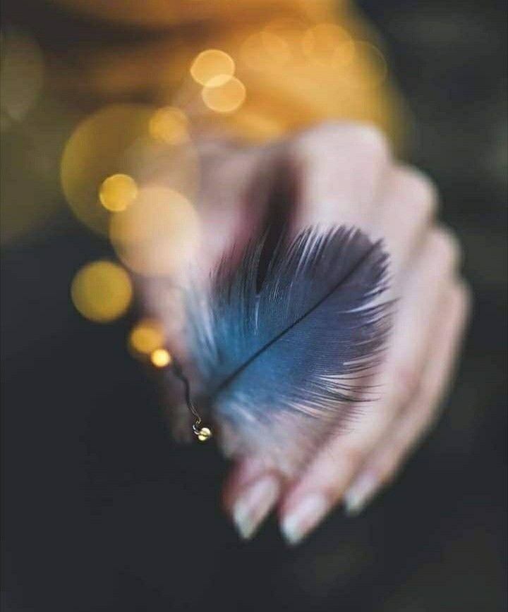 -لم أكن أبحث يوماً عن الإجابات!
ولكن كنت أريد استعارة الوقت
 لترتيب السؤالات..

لم أطلب عصا يُشق بها طريقاً 
في بحر مواجعي!

فقط كنت أريد عكازاً حتى لا تخذلني
 انكسارات روحي ..

لم أطلب من شعاعِ الشمسِ
 ثوباً منبسطا!
 كل ما أردتهُ خيطًا أرقّع به ثقوب العمر ..

... ⬇️