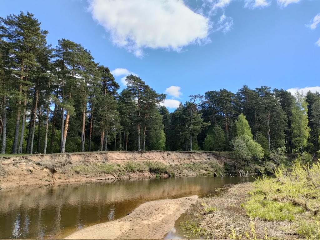 Flayback's tweet image. 