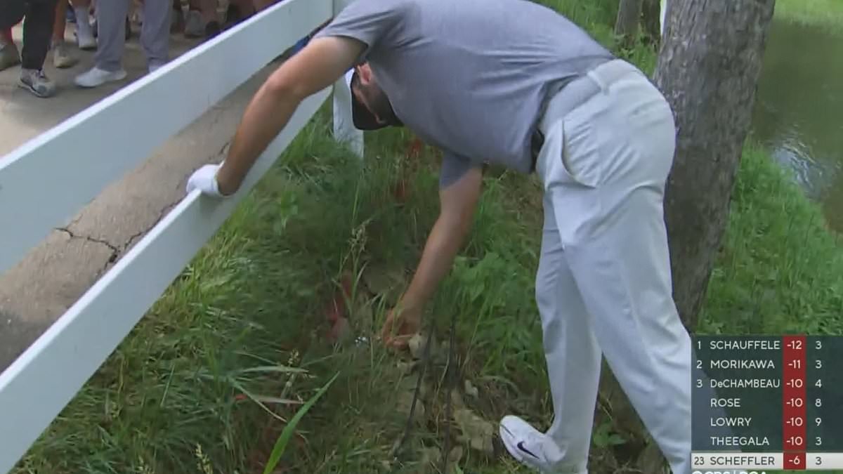 pourmecoffee's tweet image. Scottie Scheffler finds cash and a letter buried by his inmate friend near the base of an oak tree
