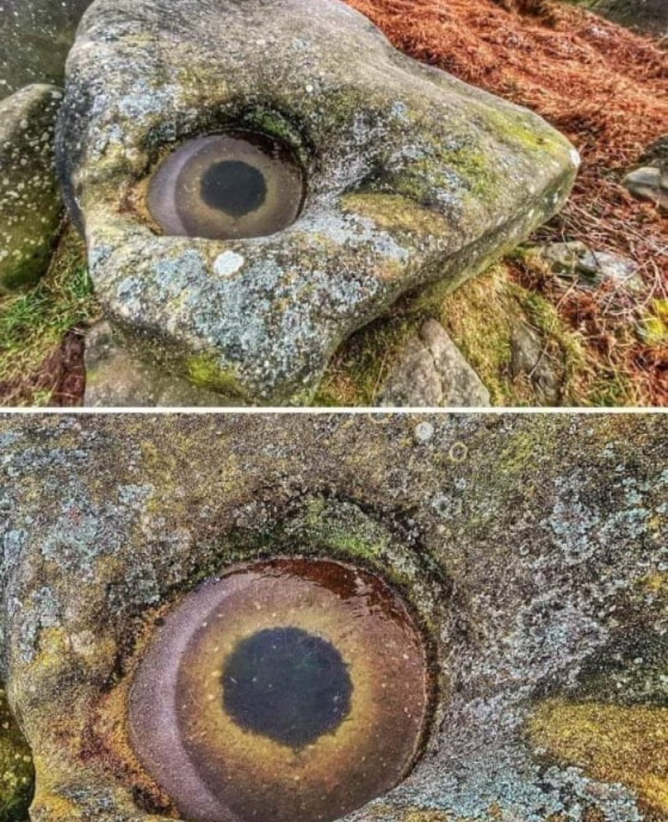 Nature's Eye! Bizarre frost formation on a rock, Derbyshire Peak District, England. This intriguing formation, which resembles a fish's or perhaps dragon's head, was discovered by Leigh Pugh on Stanton Moor Edge, near Birchover, when he was out to capture a photo of sunrise.