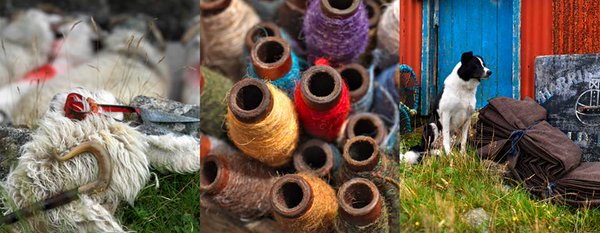Harris Tweed - Raw wool, Spun colour, Authentic colour     @harristweed777