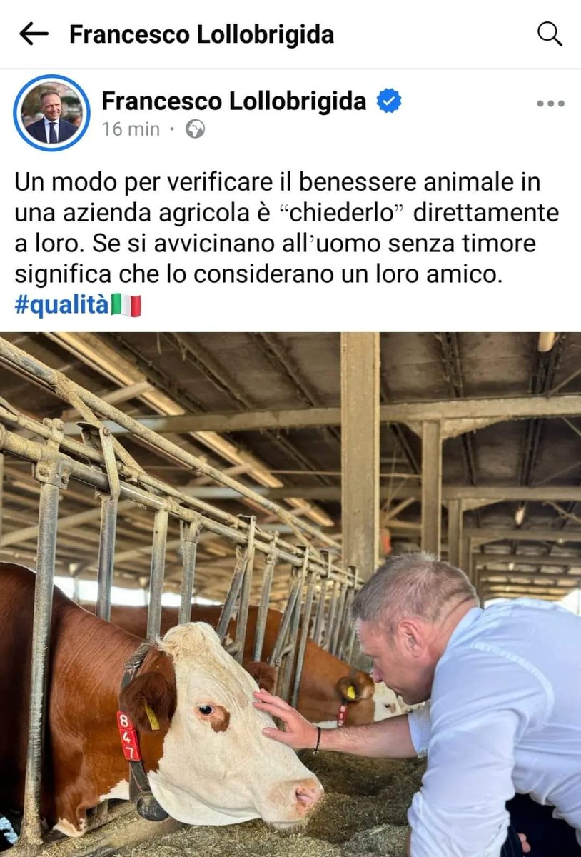 Ministro <a href="/FrancescoLollo1/">Francesco Lollobrigida 🇮🇹</a> perché mi ha bannato su Facebook? Ha paura dei miei commenti?