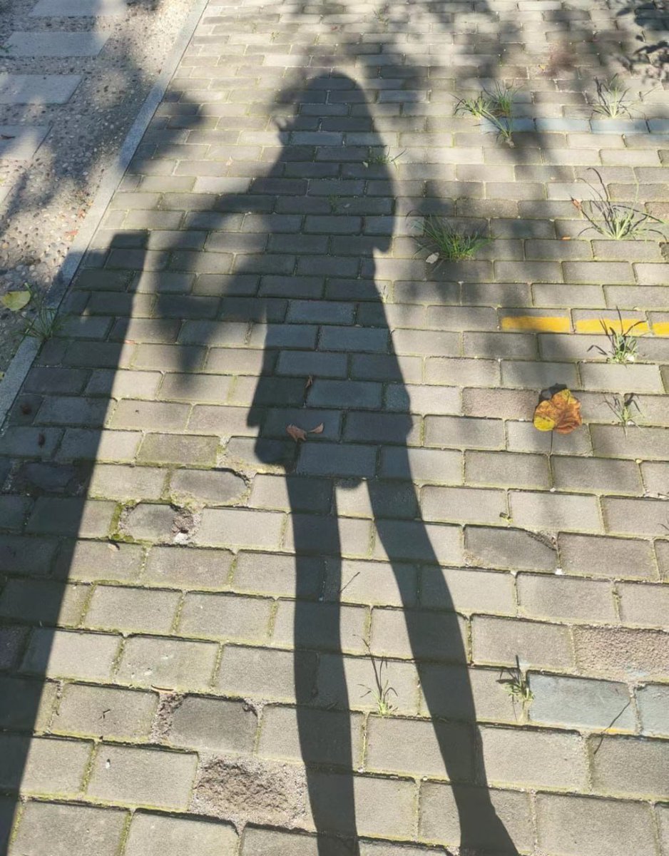 希望我心中有爱，脚下有路，眼中有光，永远做自己的小太阳！
当然啦，在坚强的女人，也希望能有自己的避风港！
你愿意做我的避风港么？