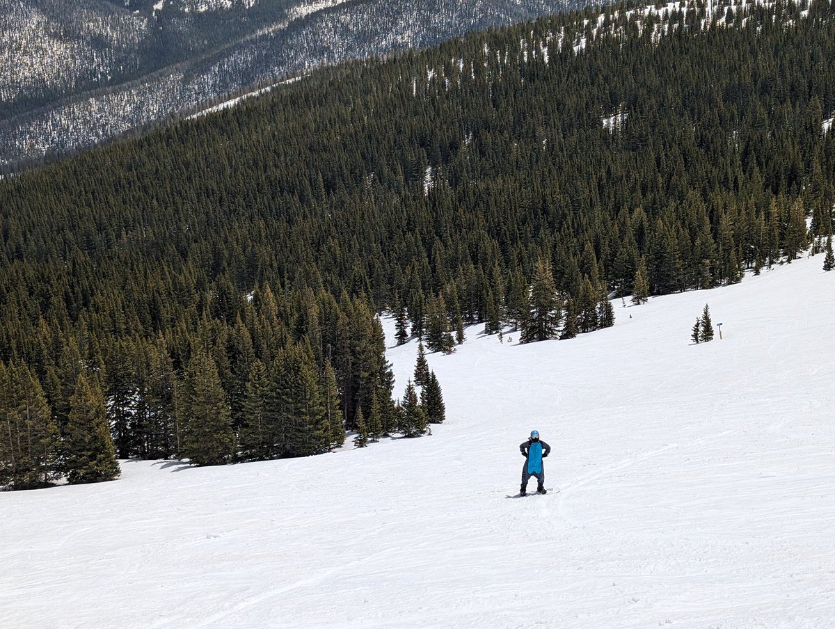 Chicken Sammish Spring Laps 🍗🏂 @ShepDanellos