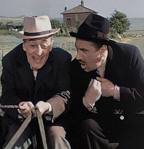 L’Oasi di Salvo tweet media