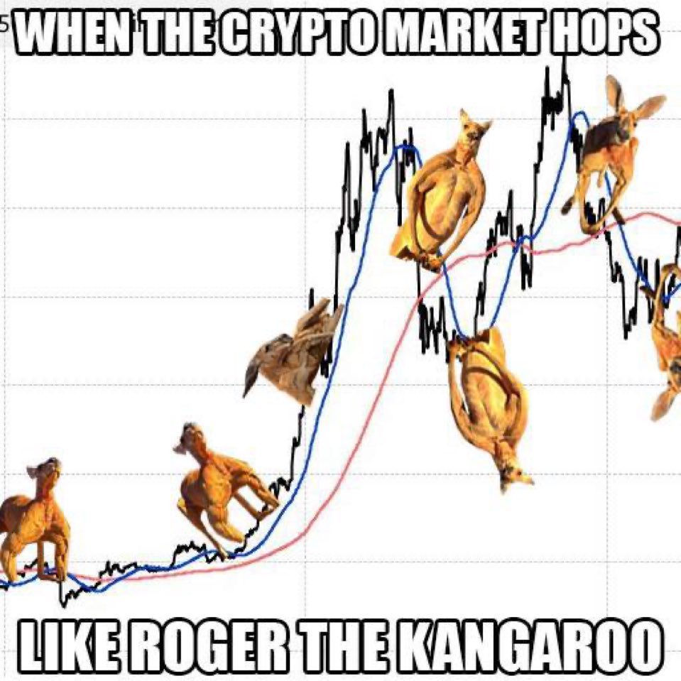 Kangaroo’s don’t walk, they bounce $ROGER was no ordinary roo, He stood tall, on business at 6 feet 7 inches and weighing a whopping 200 pounds, He didn’t just bounce, @RogerCoinOnSol was born to pump