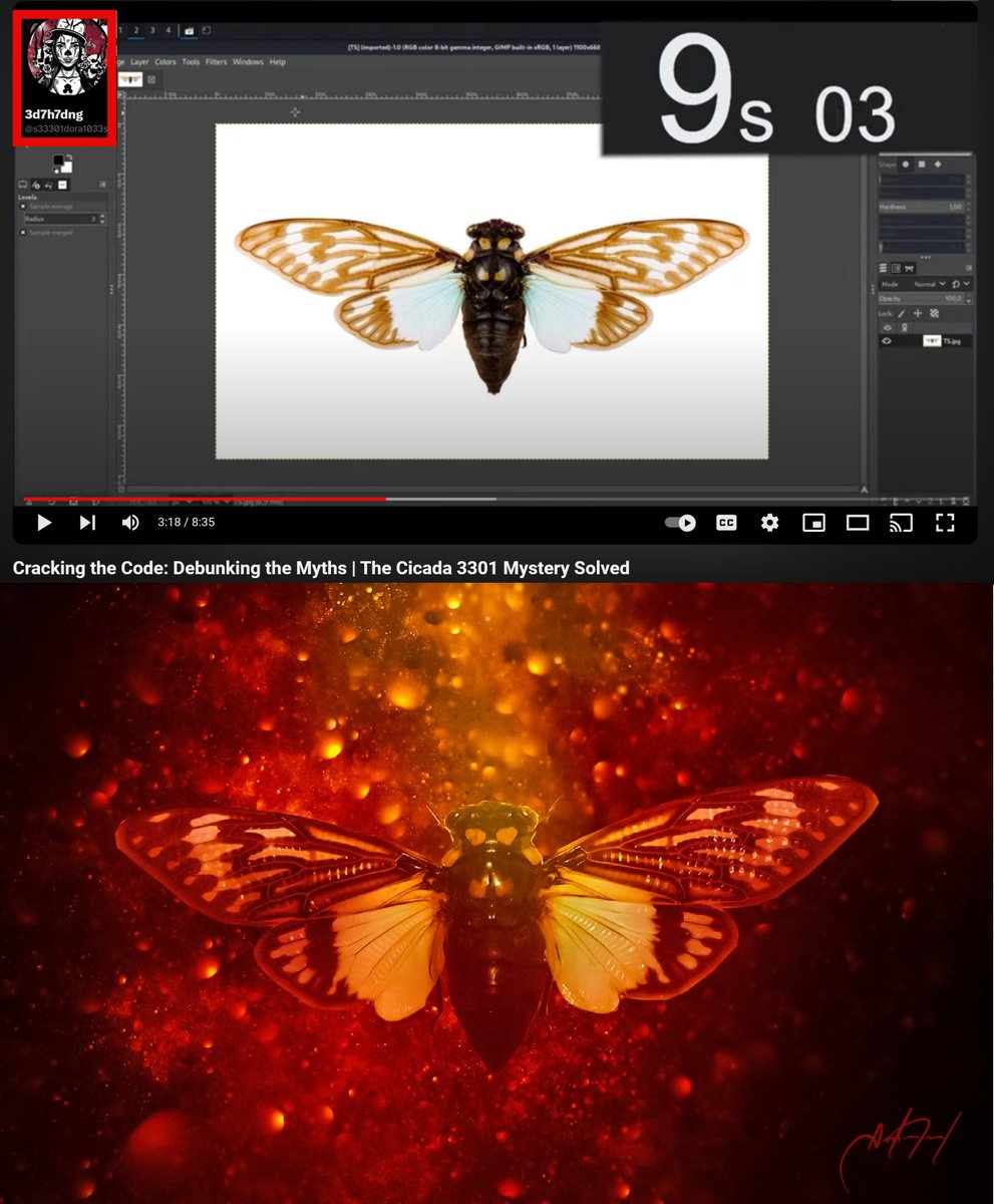 The image on the top is taken from the video I retweeted. It shows how the original #cicada3301 logo was made. The image, at the bottom, is an art piece I put out three years ago. Most of the graphics that I do have either a code, Easter egg, references, etc... Up until now, no