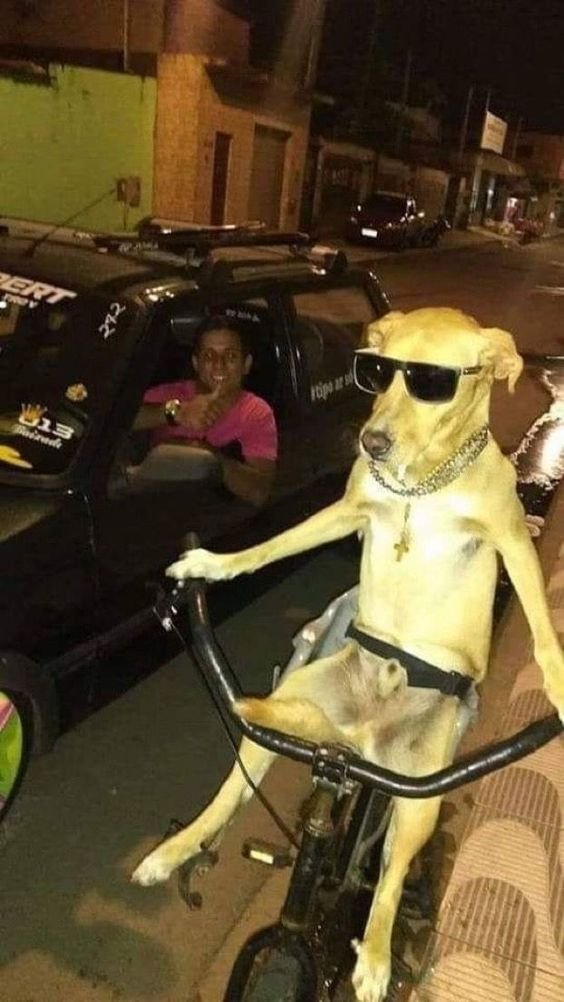 insane poses tweet media