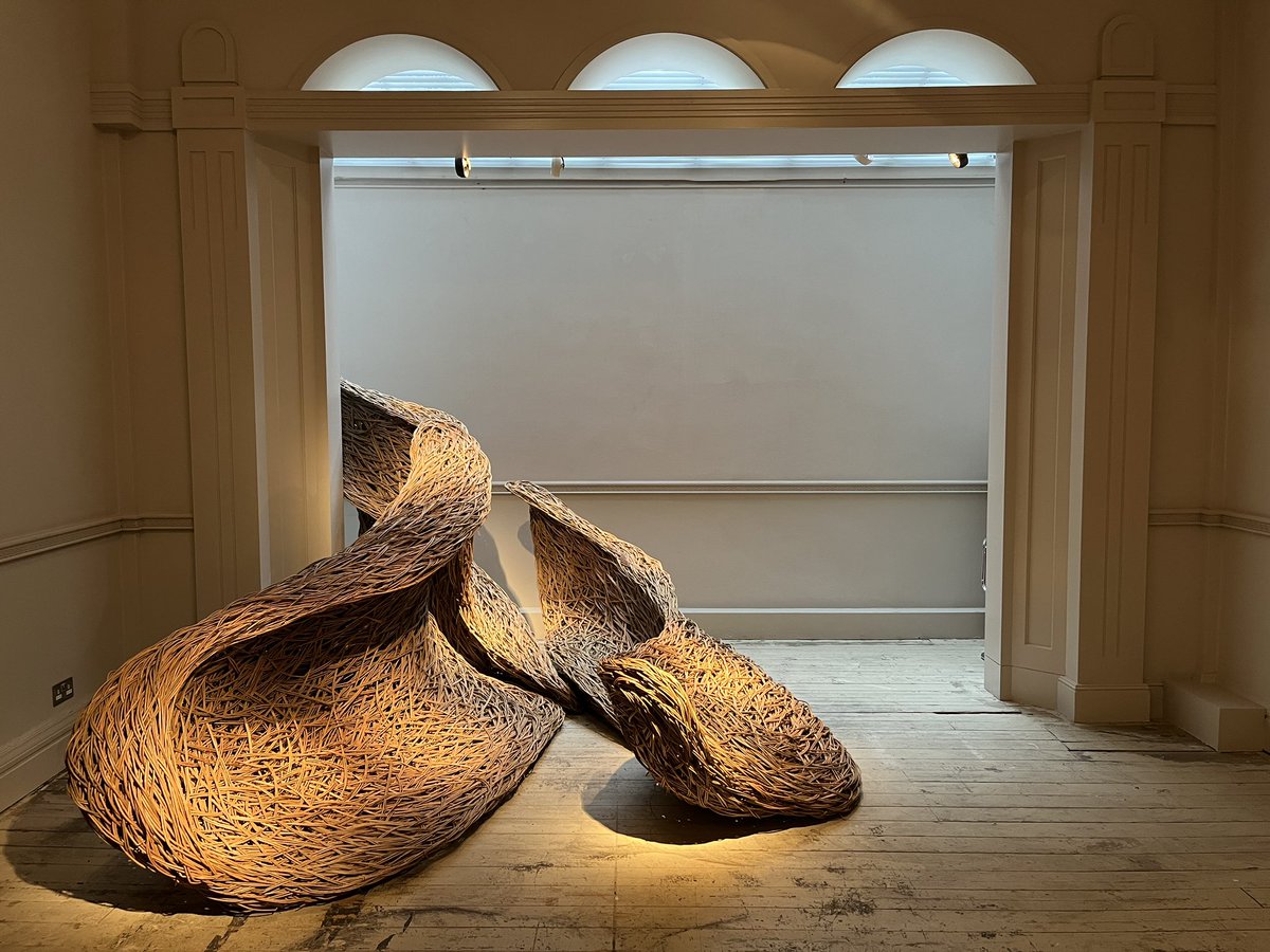 Laura Ellen Bacon tweet media