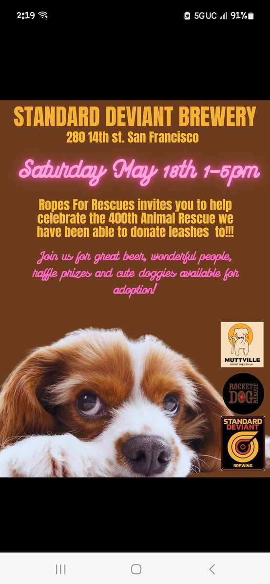 Today! Stop by Standard Deviant Brewery from 1p-5pm to celebrate Ropes for Rescue's 400th animal rescue they've donated to! R for R is a big supporter of Muttville, we LOVE their leashes! Where? 280 14th St, #SanFrancisco Bring your dog-friendly mutt! buff.ly/3K8y89C