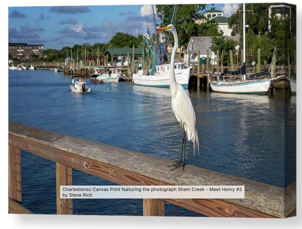 Shem Creek - Meet Henry
3-steve-rich.pixels.com/featured/shem-…
#shemcreek #charleston #charlestonsc #lowcountry #southcarolina  #mountpleasant #chstoday #chs #explorecharleston #lowcountryliving  #follybeach #sullivansisland #mountpleasantsc   #mtpleasantsc #isleofpalms #boatlife  #shrimpboat